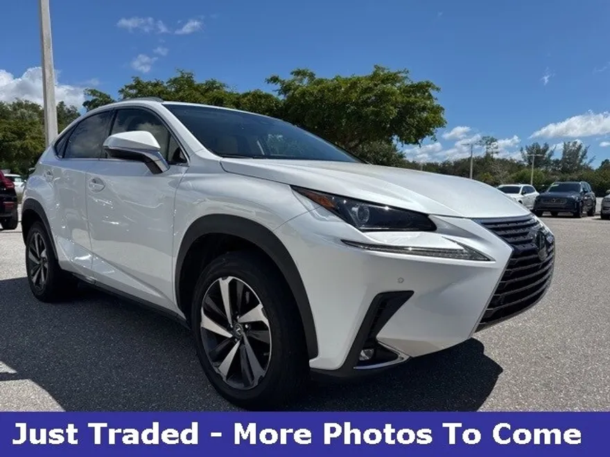 2018 Lexus NX 300 Luxury photo 1