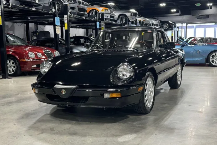 1989 Alfa Romeo Spider QUADRIFOGLIO photo 1