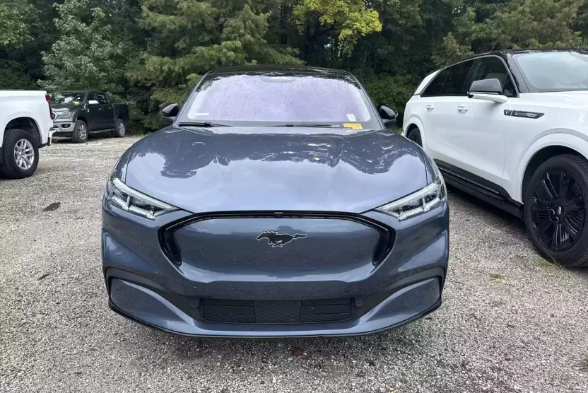 2021 Ford Mustang Mach-E Premium photo 1