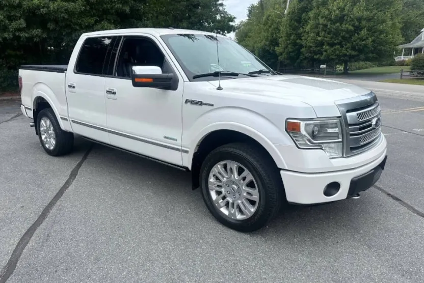 2014 Ford F-150 Platinum photo 1