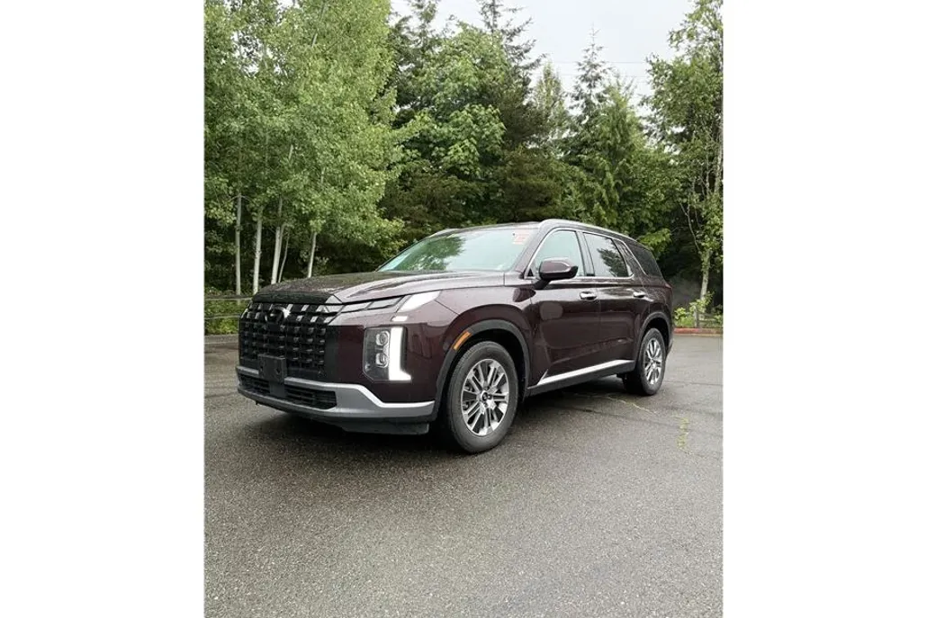 2023 Hyundai Palisade SEL photo 1