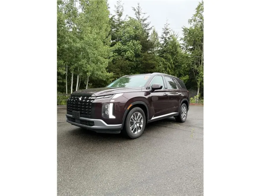 2023 Hyundai Palisade SEL photo 1