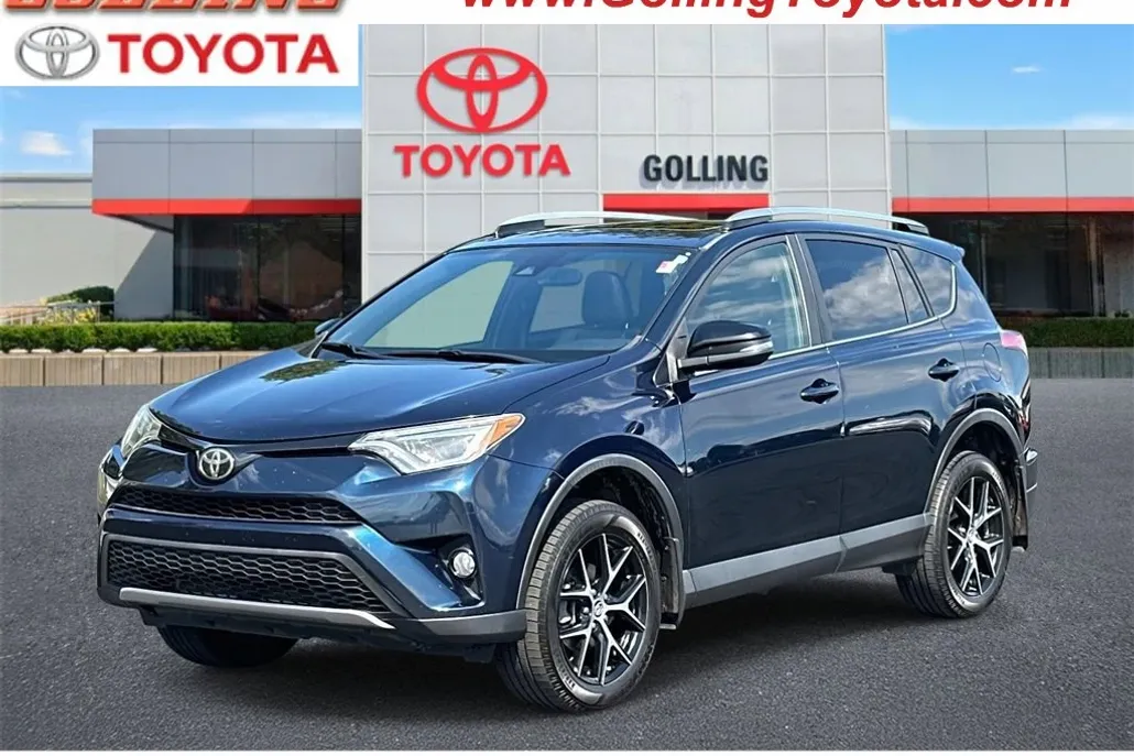 2017 Toyota RAV4 SE photo 1