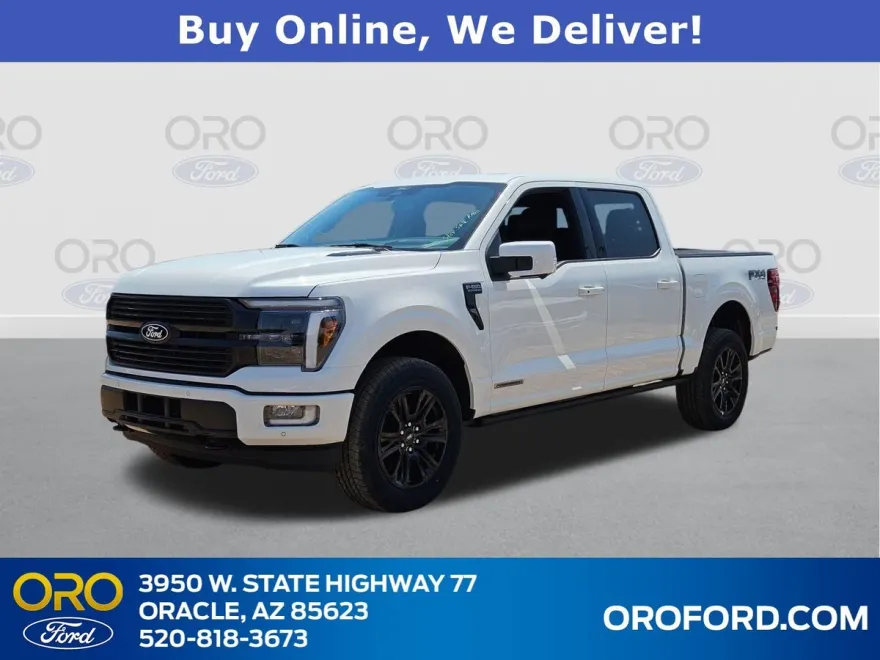 2025 Ford F-150 Platinum photo 1