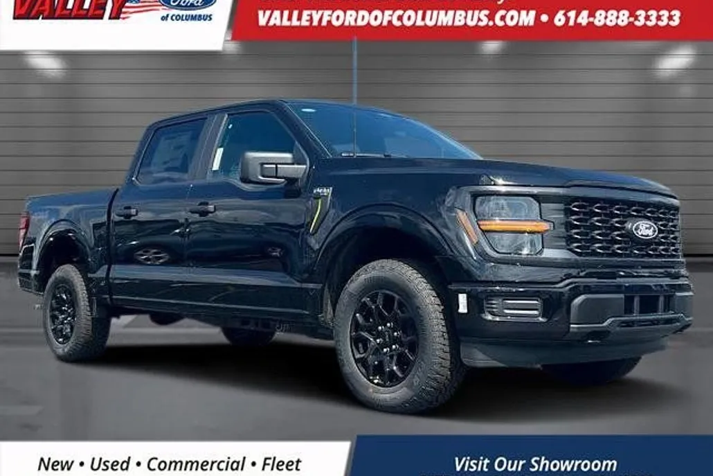 2025 Ford F-150 STX photo 1