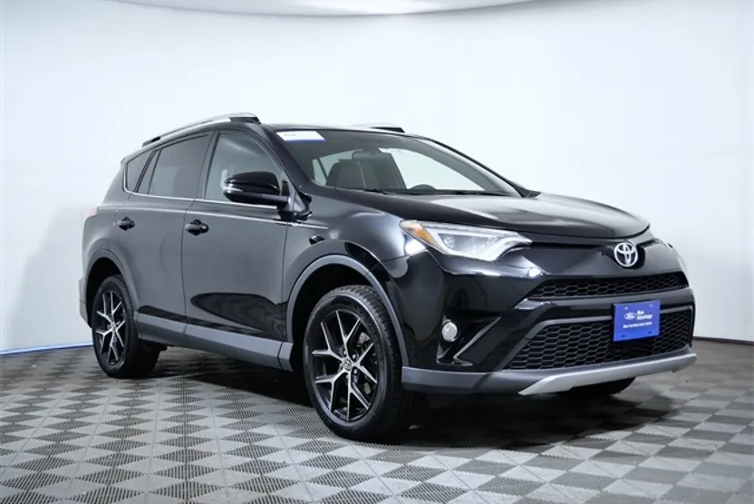 2016 Toyota RAV4 SE photo 1