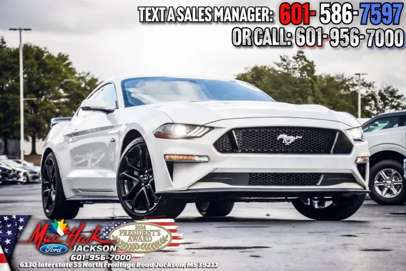 2019 Ford Mustang GT Premium photo 1
