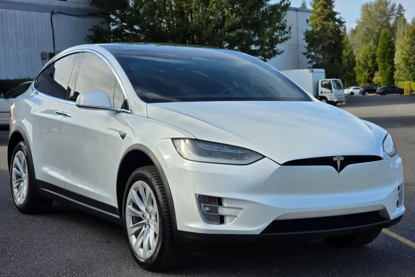 2019 Tesla Model X 75D photo 1