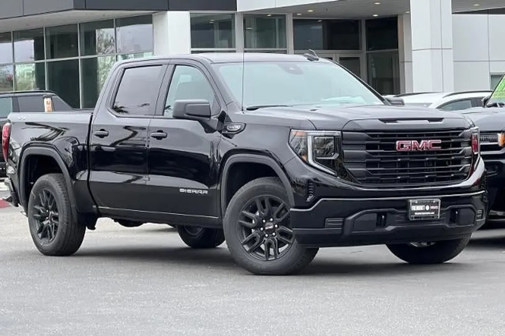 2025 Gmc Sierra 1500 Pro photo 1