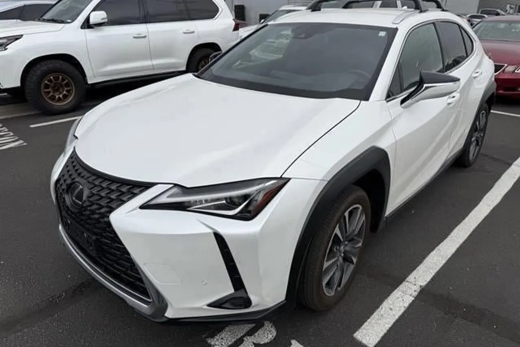 2021 Lexus UX 250h photo 1