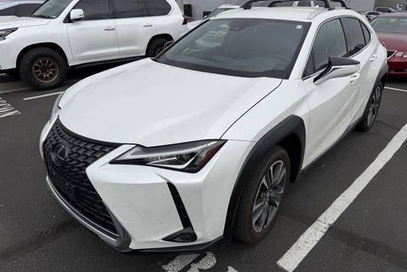 2021 Lexus UX 250h photo 1