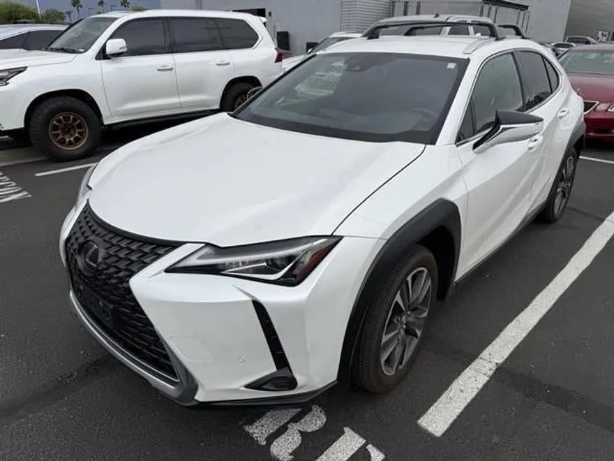 2021 Lexus UX 250h photo 1
