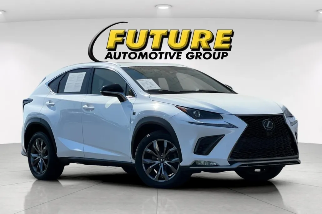 2019 Lexus NX 300 F SPORT photo 1