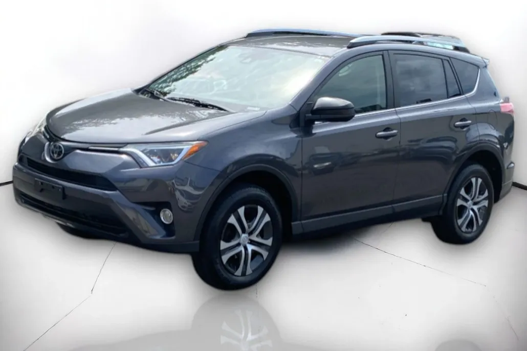 2018 Toyota RAV4 LE photo 1
