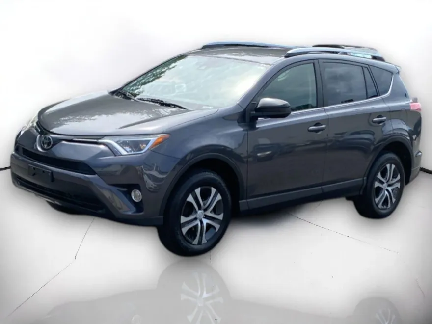 2018 Toyota RAV4 LE photo 1