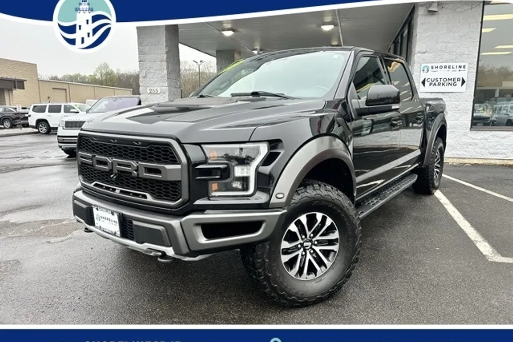 2019 Ford F-150 Raptor photo 1