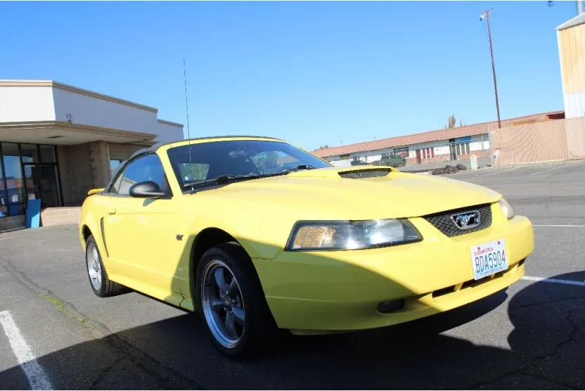 2002 Ford Mustang GT Deluxe photo 1