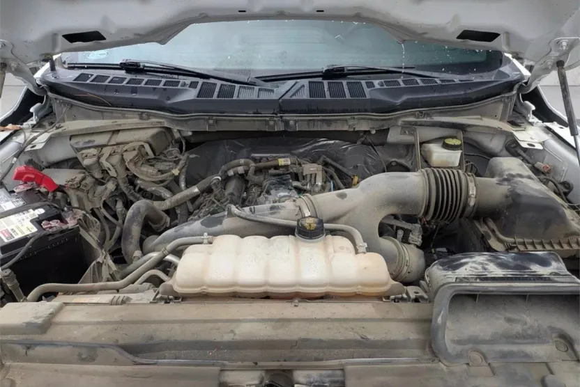 2022 Ford F-150 photo 1