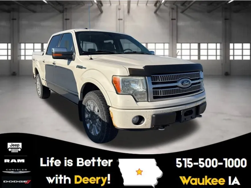 2009 Ford F-150 Platinum photo 1