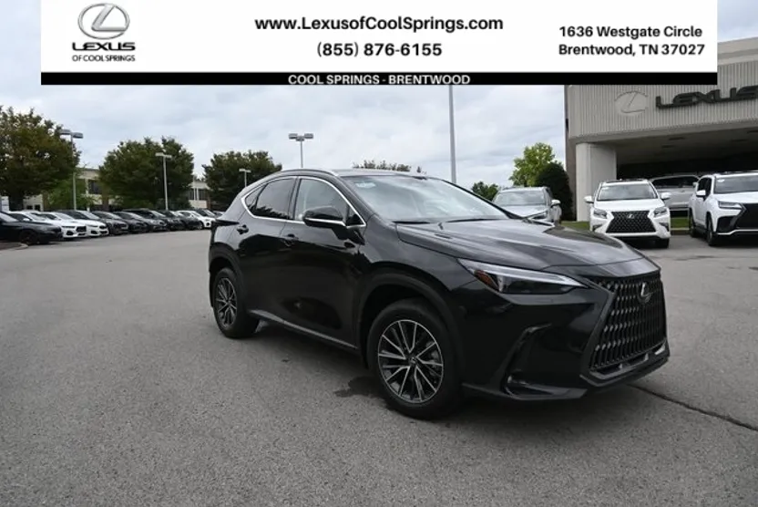 2024 Lexus NX 350h Luxury photo 1