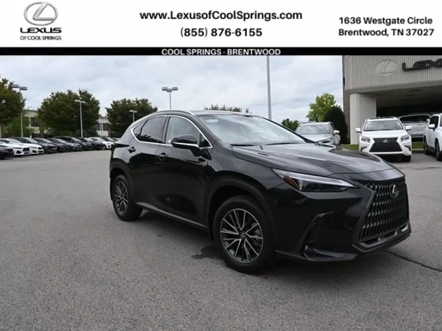 2024 Lexus NX 350h Luxury photo 1