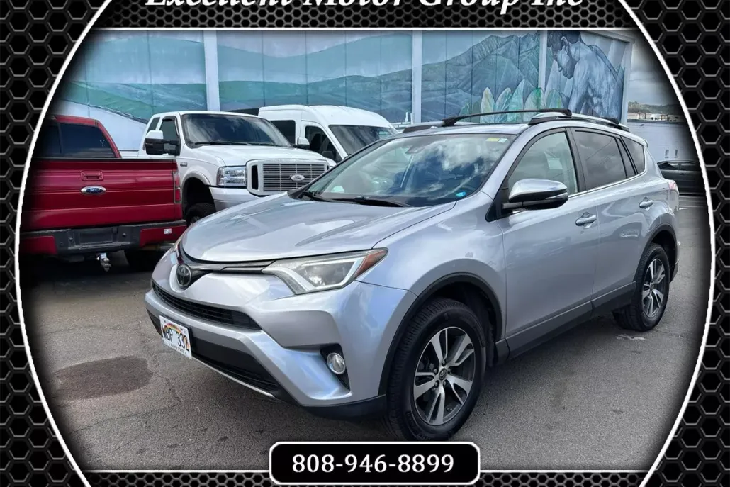 2017 Toyota RAV4 XLE photo 1