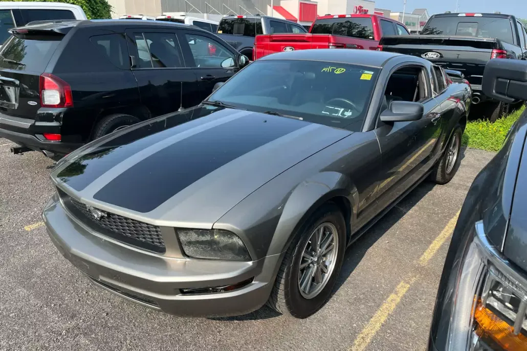 2005 Ford Mustang Deluxe photo 1