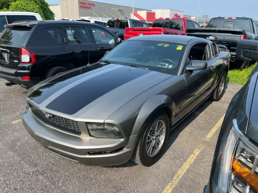 2005 Ford Mustang Deluxe photo 1
