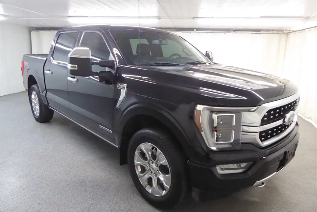 2022 Ford F-150 Platinum photo 1