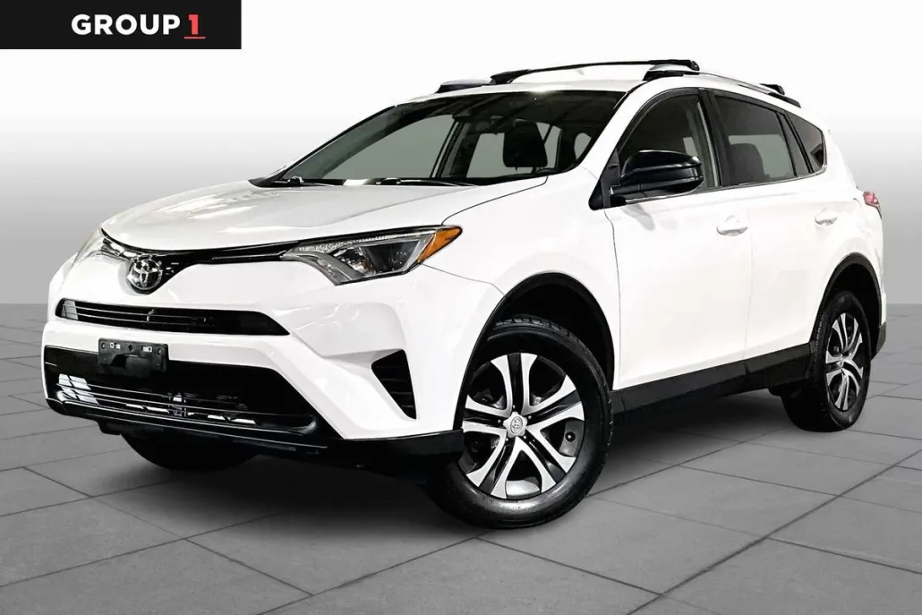 2018 Toyota RAV4 LE photo 1