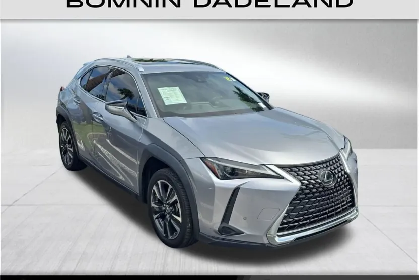 2023 Lexus UX 250h photo 1