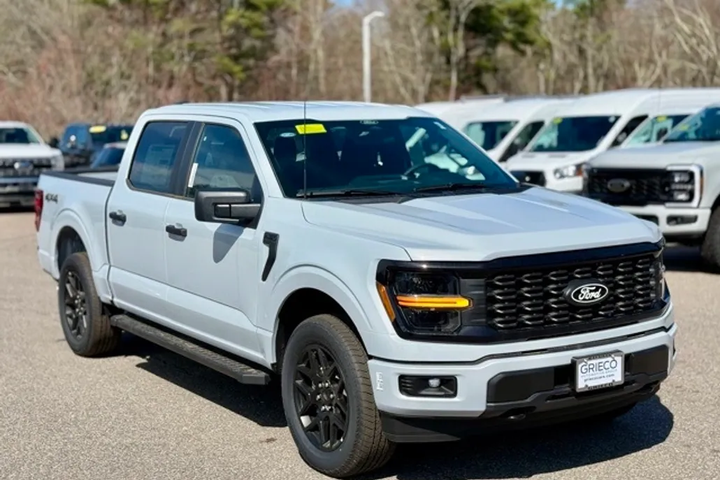 2025 Ford F-150 STX photo 1
