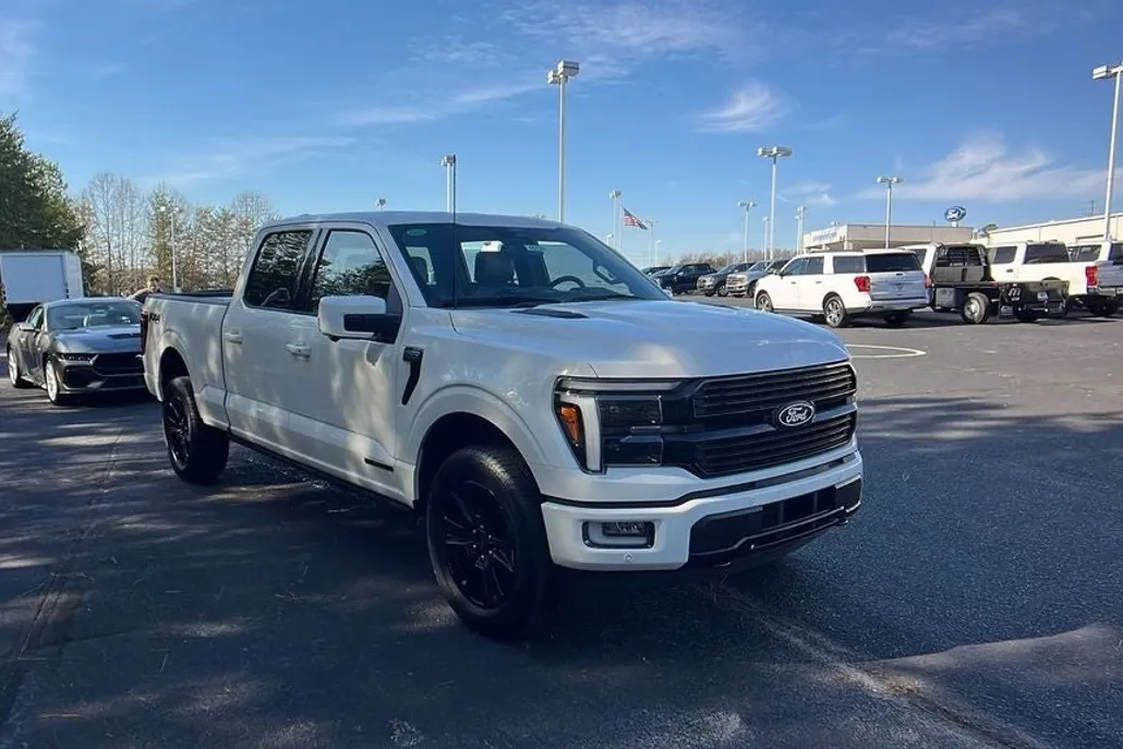 2025 Ford F-150 Platinum photo 1