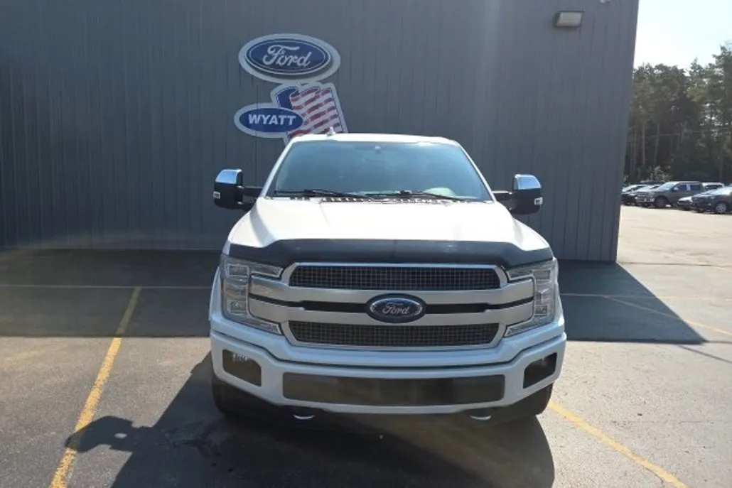 2019 Ford F-150 Platinum photo 1