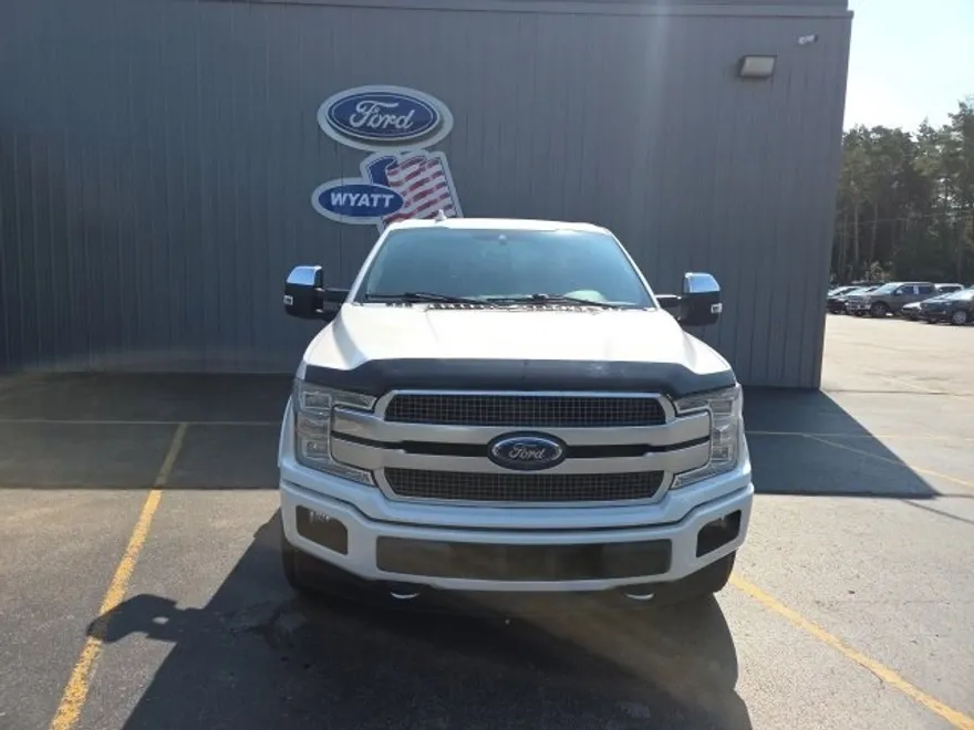 2019 Ford F-150 Platinum photo 1