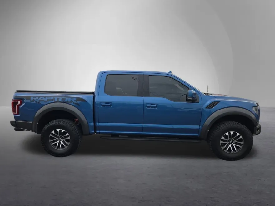 2019 Ford F-150 Raptor photo 1