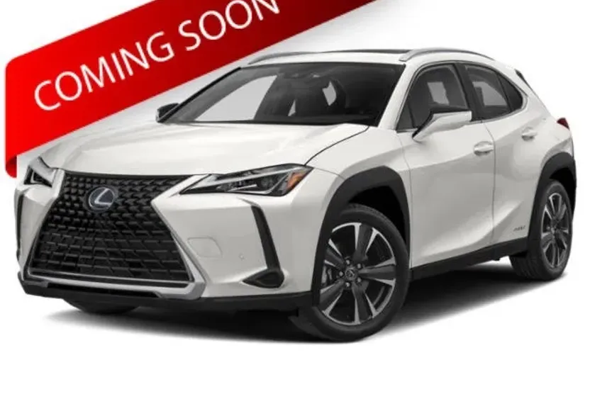 2019 Lexus UX 250h photo 1