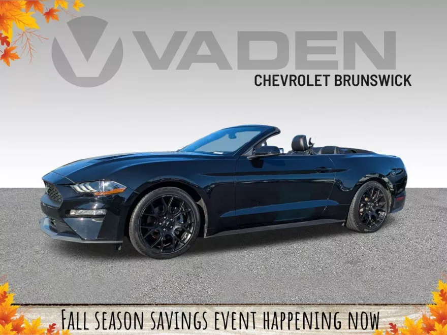 2019 Ford Mustang EcoBoost Premium photo 1