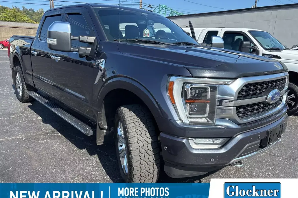 2021 Ford F-150 Platinum photo 1