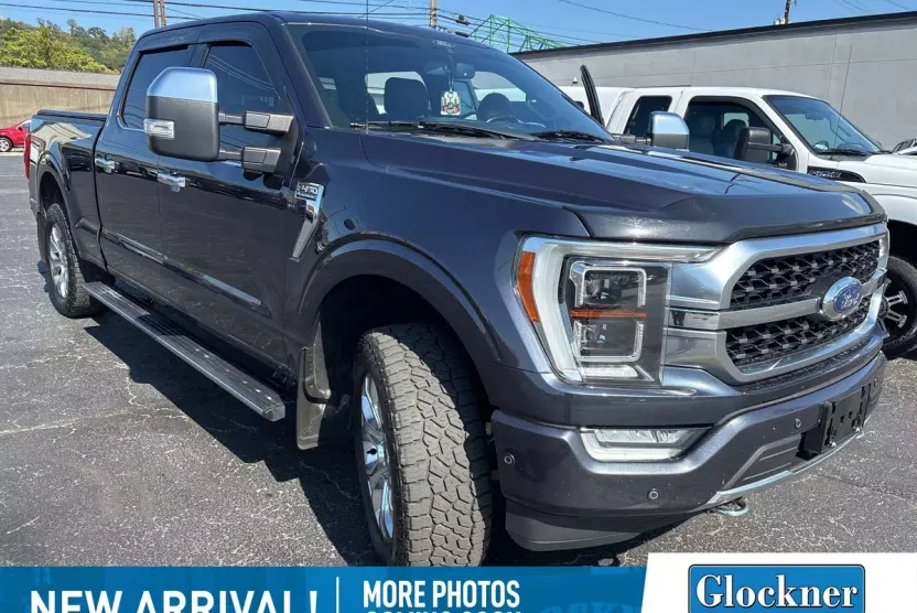 2021 Ford F-150 Platinum photo 1
