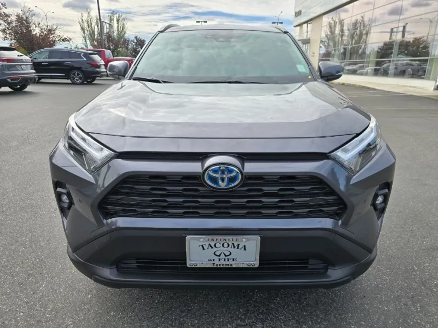 2023 Toyota RAV4 Hybrid XLE Premium photo 1