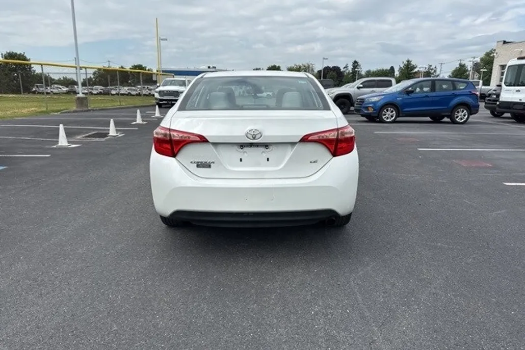 2019 Toyota Corolla LE photo 1