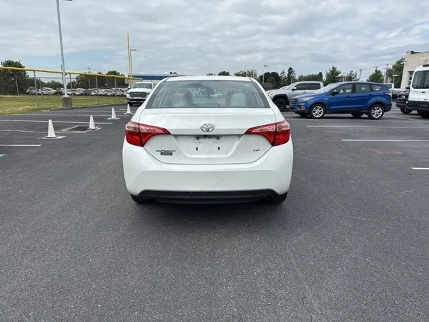 2019 Toyota Corolla LE photo 1