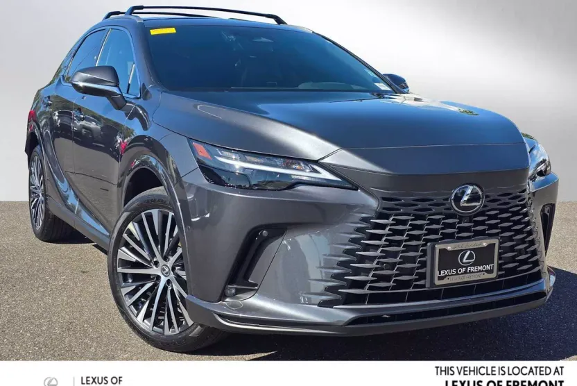 2025 Lexus RX Premium photo 1