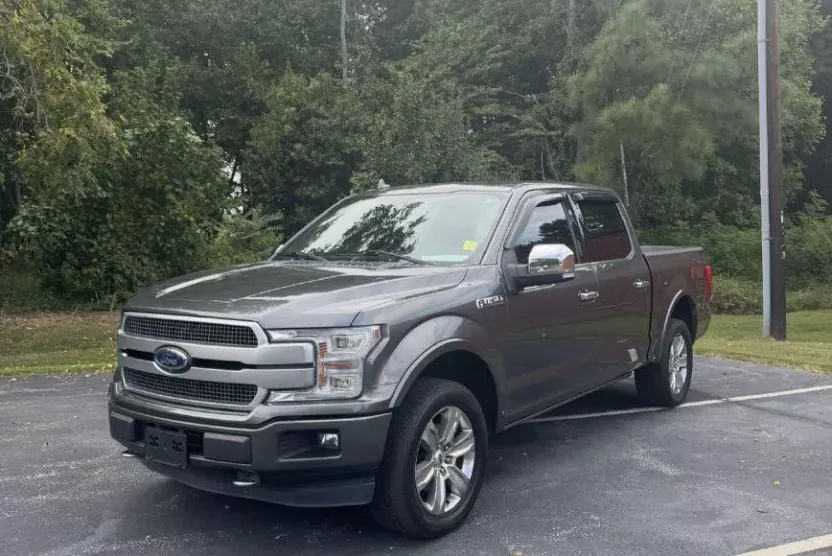 2019 Ford F-150 Platinum photo 1