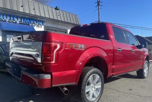 2015 Ford F-150 Platinum photo 3