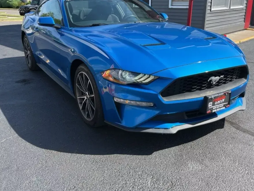 2019 Ford Mustang EcoBoost photo 1