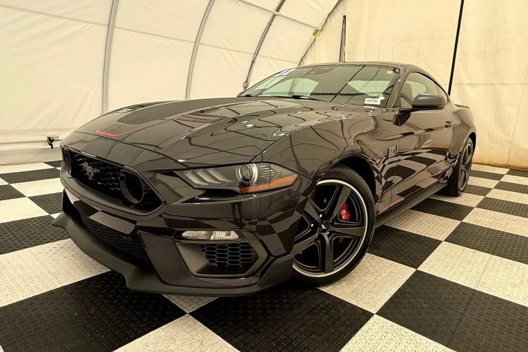 2022 Ford Mustang Mach 1 photo 1