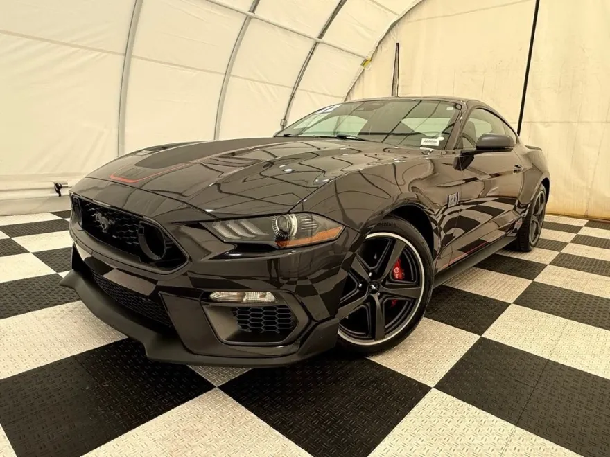 2022 Ford Mustang Mach 1 photo 1