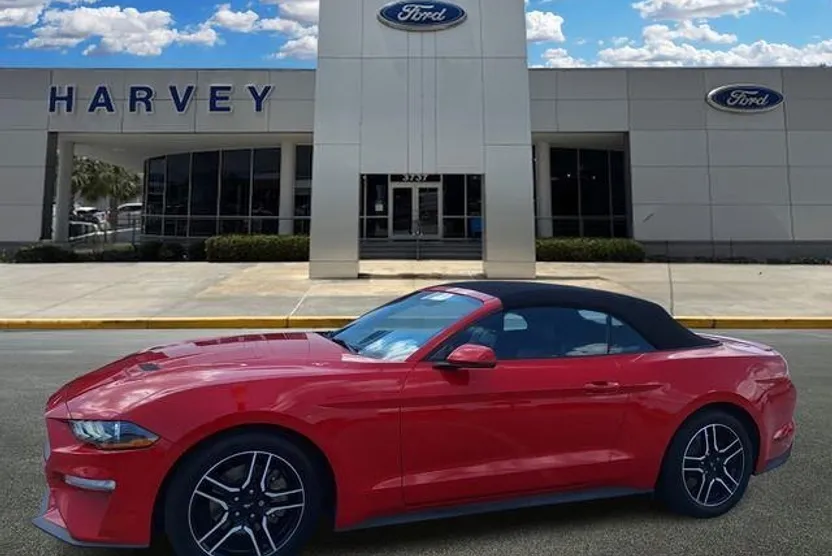 2019 Ford Mustang EcoBoost Premium photo 1